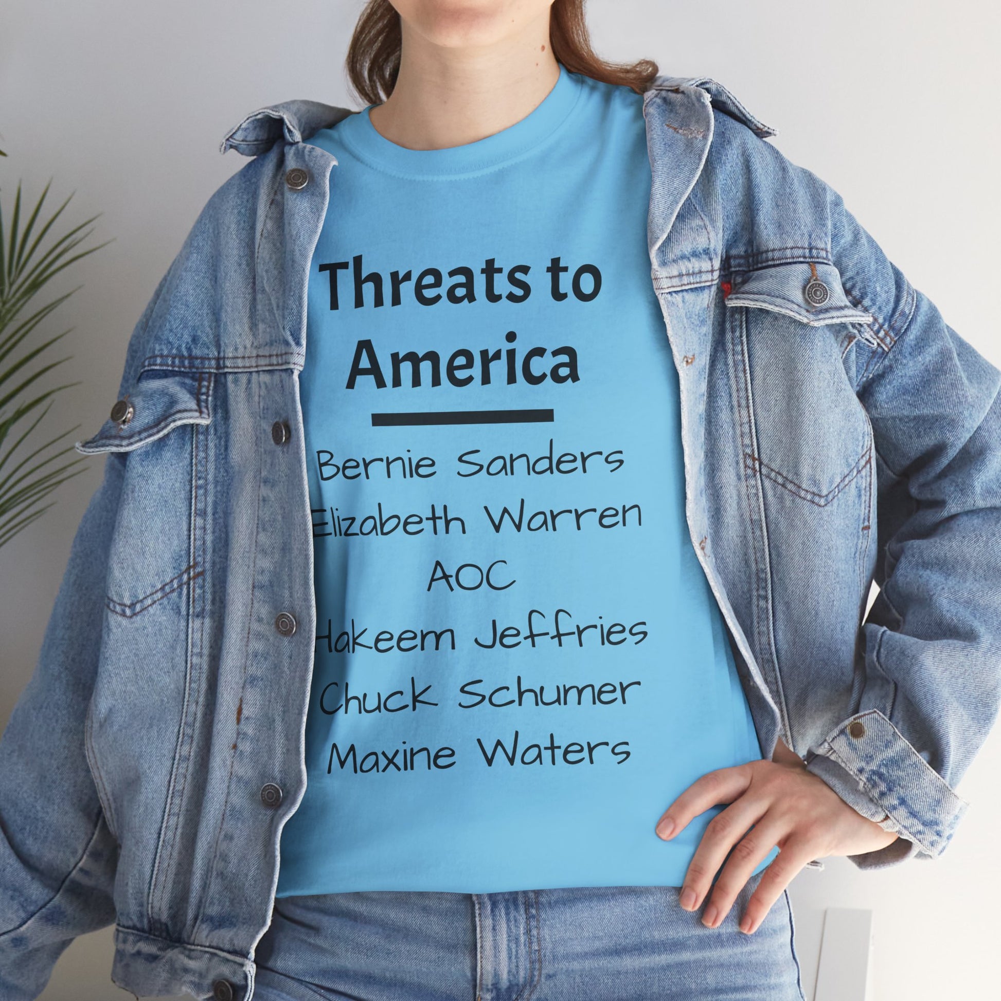 Threats to America T-Shirt